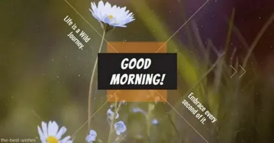  Good Morning Wishes, Messages 