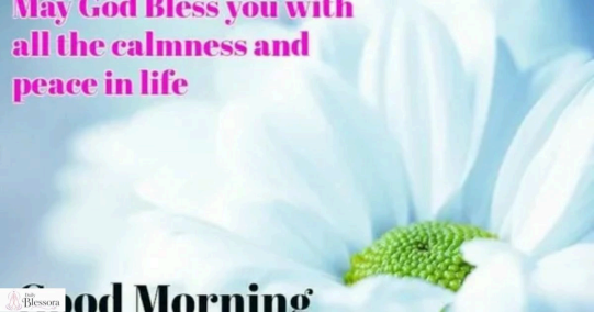 Good morning, blessings! Images and Quotes 
